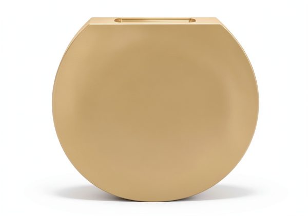 Mr Steam Polished Brass Steamhead for Steam Showers-0