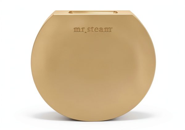 Mr Steam Polished Brass Steamhead for Steam Showers-1